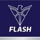 flash_logo